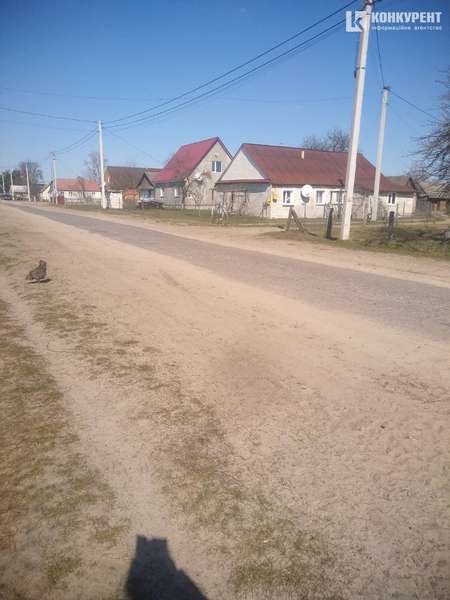 «Коронавірус? Ні, не чули»: як дотримуються карантину у віддалених селах Волині 