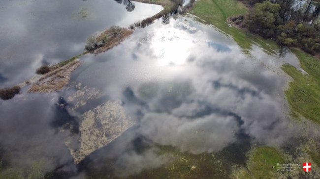 Річка Стир з висоти пташиного польоту. ФОТО