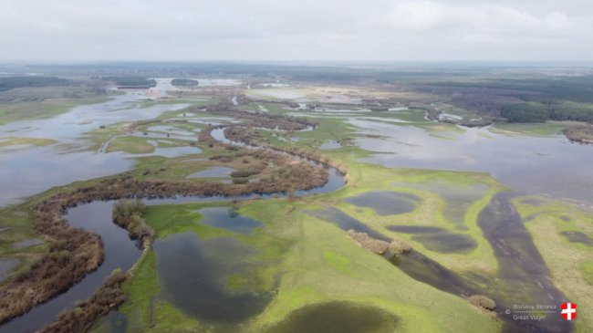Річка Стир з висоти пташиного польоту. ФОТО