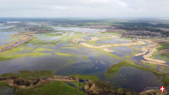 Річка Стир з висоти пташиного польоту. ФОТО