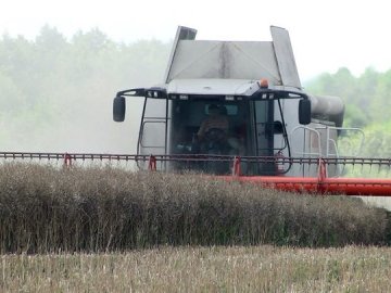 На Волині затягуються жнива: що і скільки вдалося зібрати