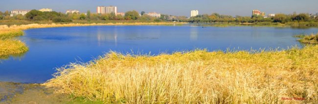 Панораму  «Старого міста» поглинають якісь джунглі, - луцький фотограф 