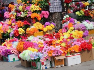 Лучан закликають не нести на кладовища штучні квіти