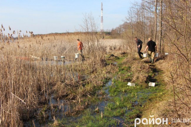 Шацькі озера поповнили мальком коропа