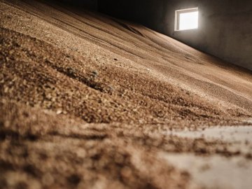 Польща хоче передати контроль над експортом українського зерна двом країнам ЄС