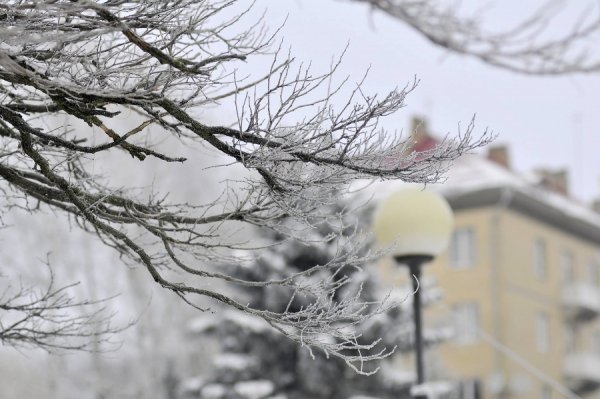 Засніжений Луцьк очима фотографа
