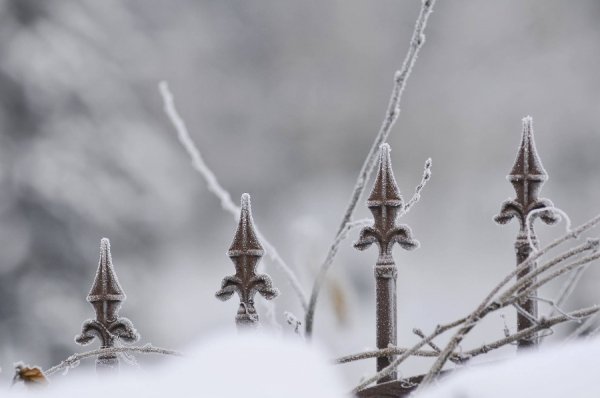 Засніжений Луцьк очима фотографа