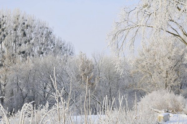 Засніжений Луцьк очима фотографа