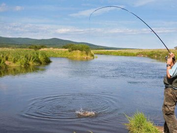 Волиняни зловили велетенського білого амура. ФОТО
