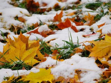 Волинь засипле снігом: прогноз погоди на 19 листопада