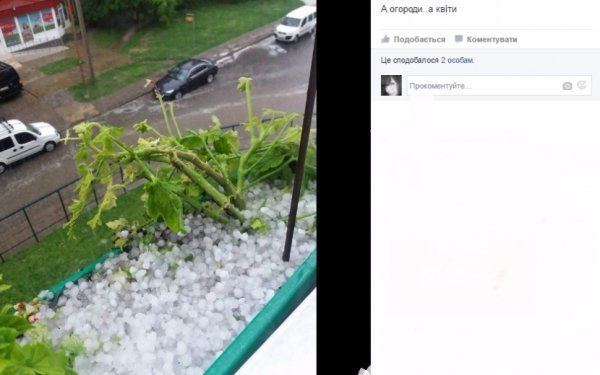 Наслідки шквальної зливи у Луцьку. ФОТО. ВІДЕО