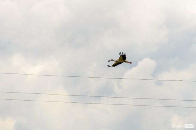 Впевнений, що дітям буде приємно тут навчатися і гратися, – Зеленський про дитсадок у Крупі