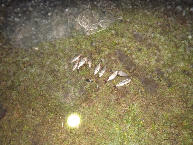 Волинянин ловив рибу з човна сіткою на території заказника. ФОТО