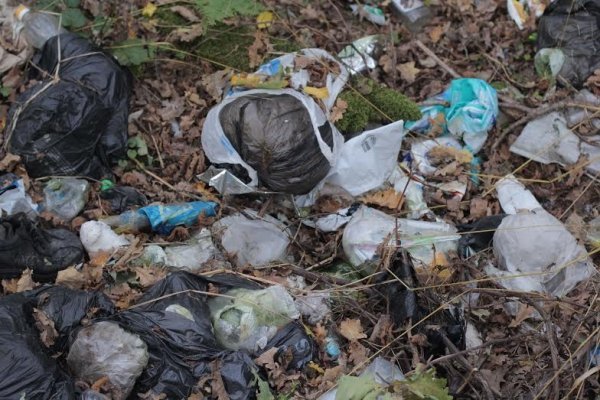 Як руйнується навколишня краса Волині. ФОТО. ВІДЕО