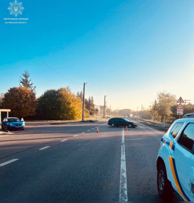 У селі біля Луцька водій зловив ґаву і спричинив ДТП. ФОТО