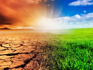ООН оголосила надзвичайний кліматичний стан на планеті
