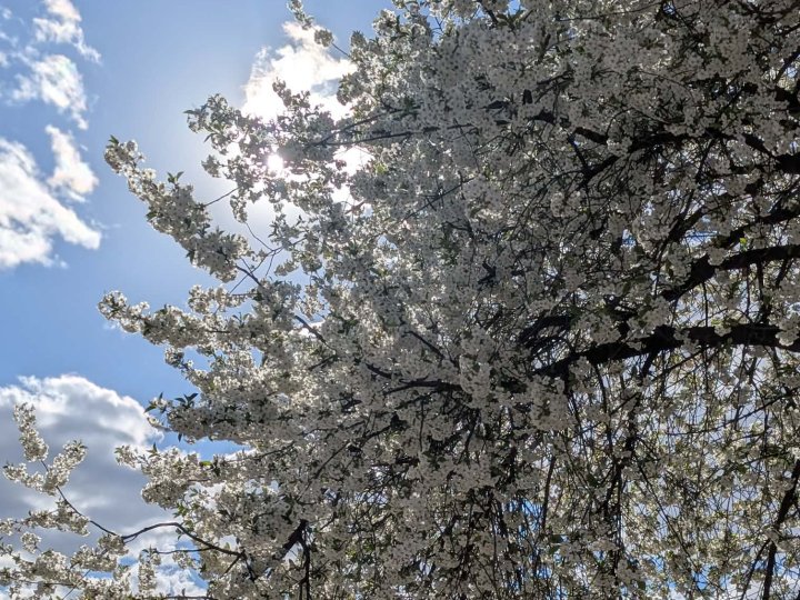 Коли на Волині відступлять нічні заморозки та прийде справжнє потепління