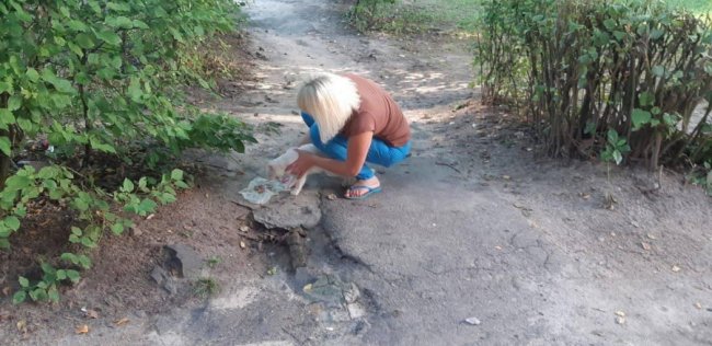 З голоду почав їсти кору: на Рівненщині врятували кота, який не міг злізти з дерева. ФОТО