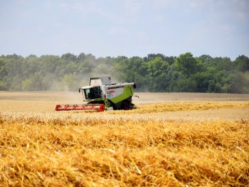 Комбайни з кондиціонерами, європейська зарплата і тонни продукції: як працює ТзОВ «Городище»
