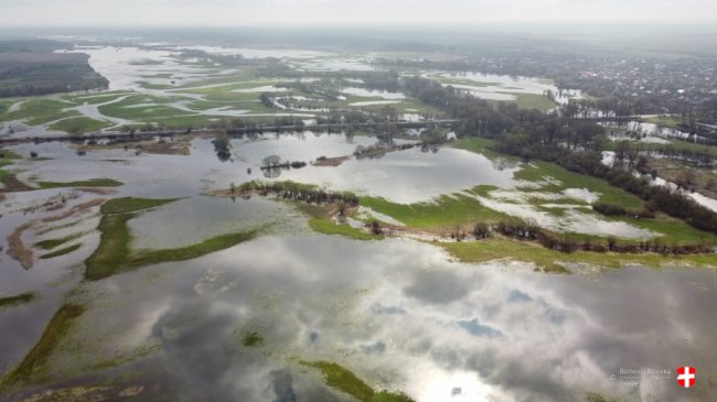 Річка Стир з висоти пташиного польоту. ФОТО