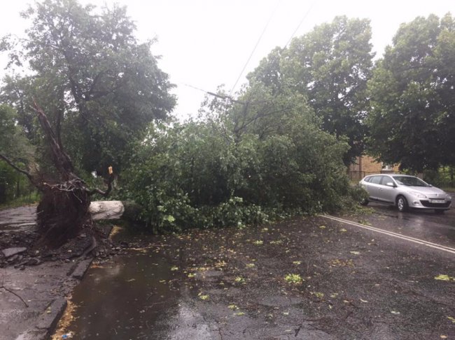 Лучан закликають допомогти розчистити дороги