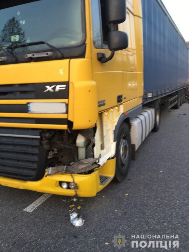 До аварії на Житомирщині, у якій загинув поліцейський з Волині, призвела поява лося на трасі. ФОТО