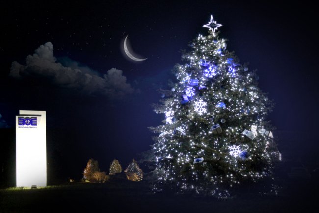 Шопка із живими ягнятами і святкові вогні: частину промислової вулиці у Луцьку перетворили на яскраву локацію