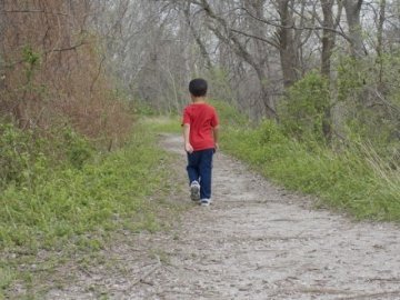 Батьки покинули семирічного сина в лісі