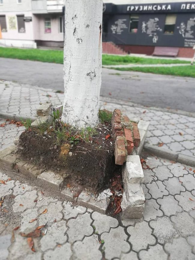 Безлад і зупинка без скла: лучани обурені роботою комунальників. ФОТО