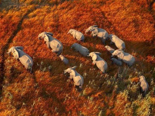 13 щасливчиків © Бен Ніл