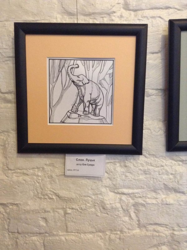 Інтернет-«тусовка» в Луцьку: перший день Volyn MediaCamp. ФОТО