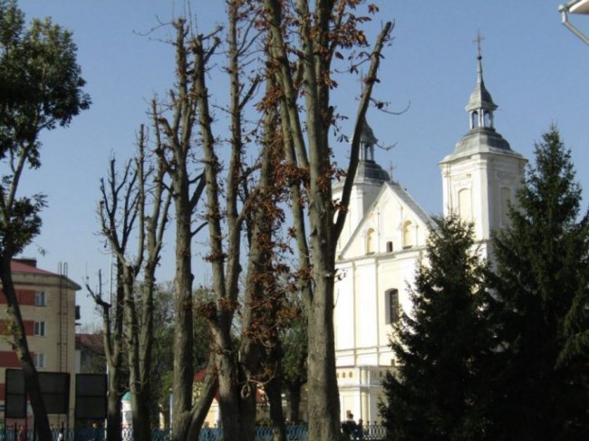 Краса золотої осені у місті на Волині. ФОТО