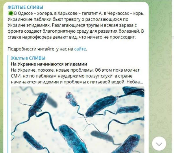 Білоруський ресурс поширив фейк про холеру в Україні 