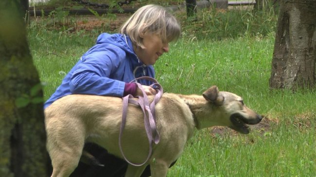 Як у Луцьку облаштувалися переселенці з домашніми улюбленцями. ФОТО. ВІДЕО