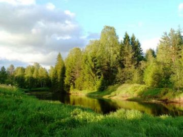 Де на Волині найчастіше порушували екологічне законодавство