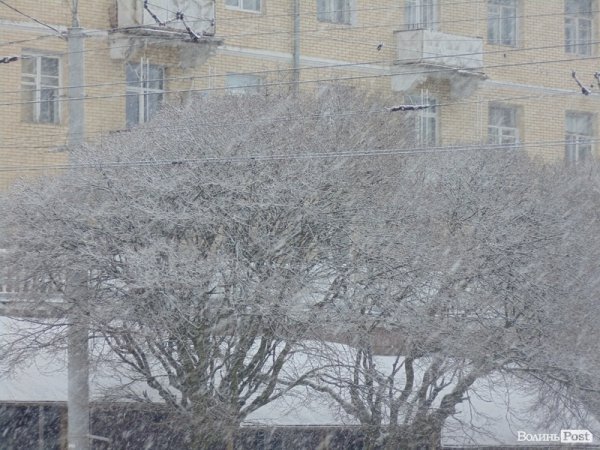 Луцьк засипає снігом. ФОТО