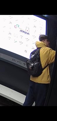 У Луцьку «засвітили» обличчя вандалів, що розмалювали «розумну» зупинку: просять упізнати. ФОТО