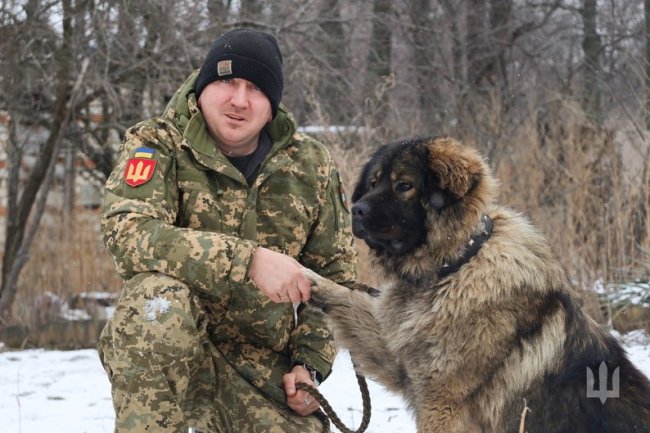 Подарували побратими: боєць волинської бригади несе службу разом із 60-кілограмовою вівчаркою