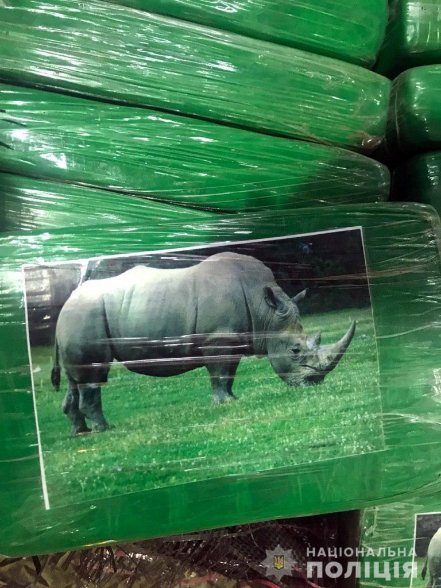 Українські силовики затримали рекордну партію кокаїну на 51 мільйон доларів. ВІДЕО