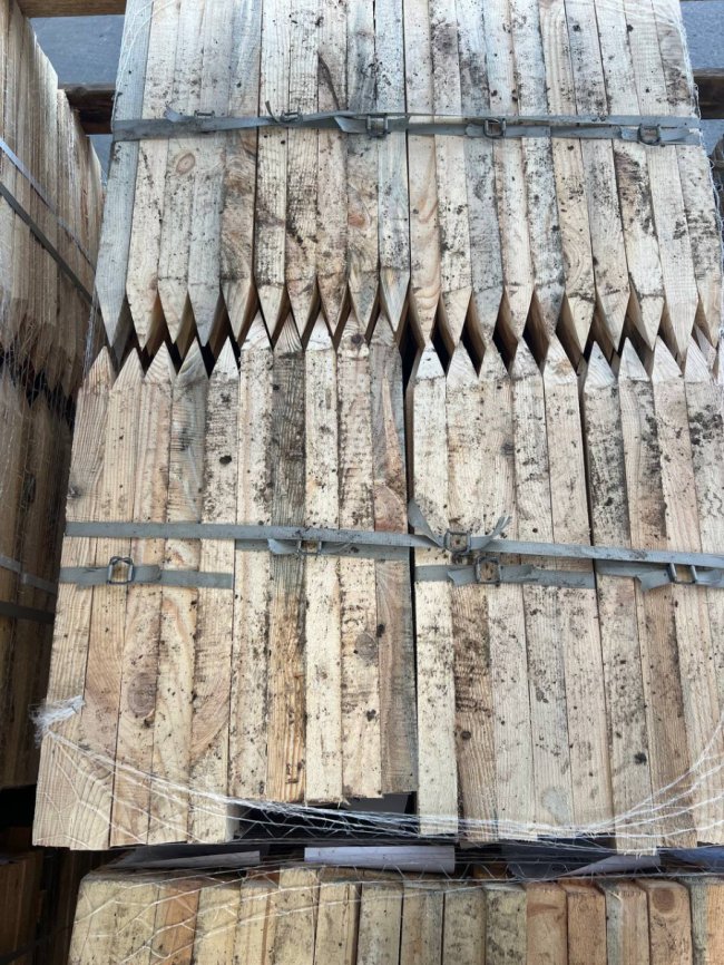 Граб виявився сосною, а в'яз – липою: через «Ягодин» хотіли незаконно провезти деревину на пів мільйона гривень