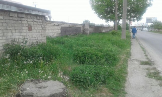 Попереджають, а потім каратимуть: У Луцьку муніципали «воюють» з некошеною травою