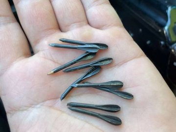 Російські окупанти обстріляли Сумщину снарядами, начиненими дротиками