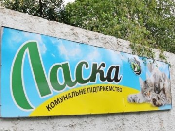 Мільйони на «собачок»: у Луцьку збільшили фінансування КП «Ласка»
