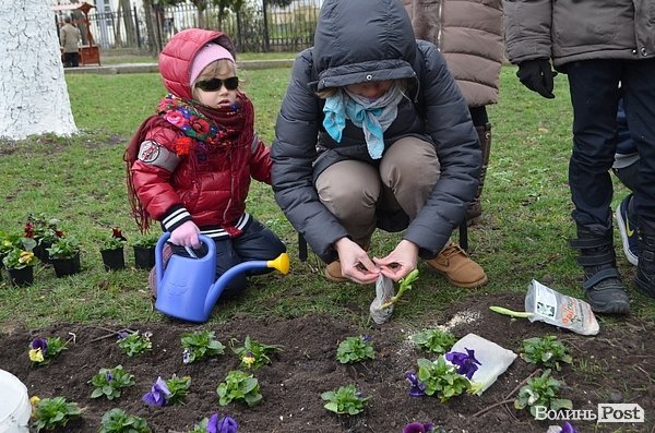 Активісти в центрі Луцька садили клумбу. ФОТО