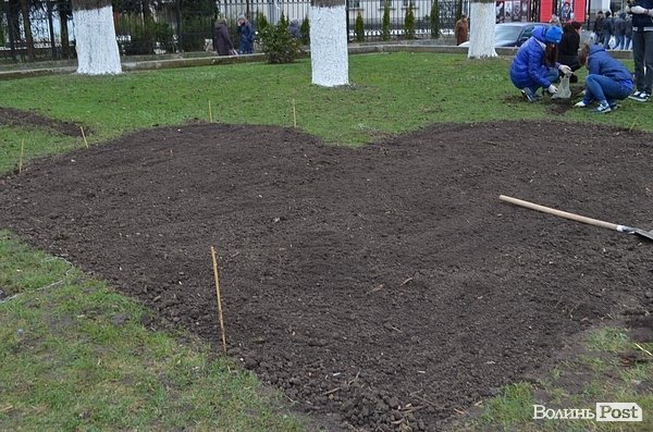 Активісти в центрі Луцька садили клумбу. ФОТО