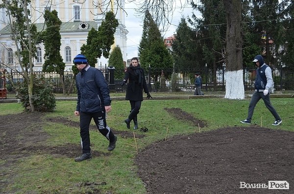 Активісти в центрі Луцька садили клумбу. ФОТО