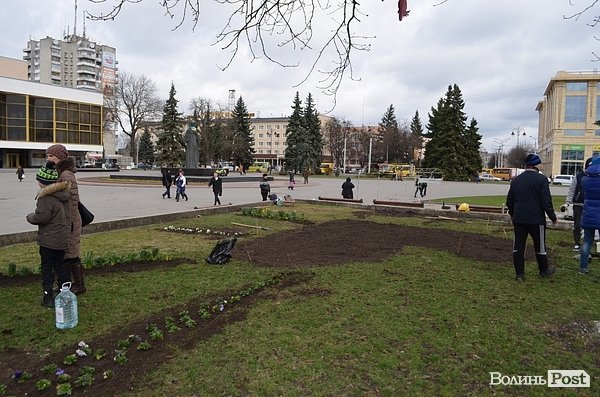 Активісти в центрі Луцька садили клумбу. ФОТО