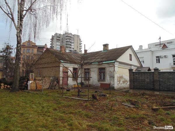 У центрі Луцька спиляли древню ялинку. ФОТО