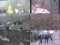 Відеореконструкція розстрілів на Майдані у Києві. ВІДЕО