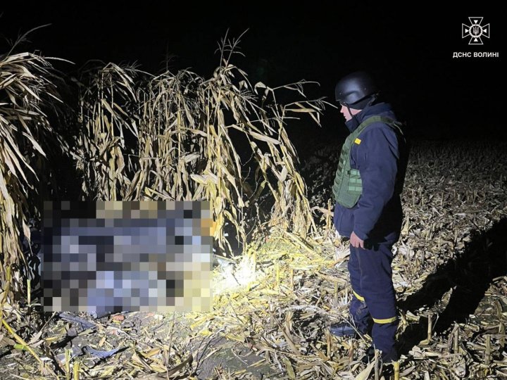 Поблизу Луцька на відкритій території виявили вибухонебезпечний предмет